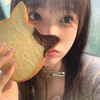 爱国者行动